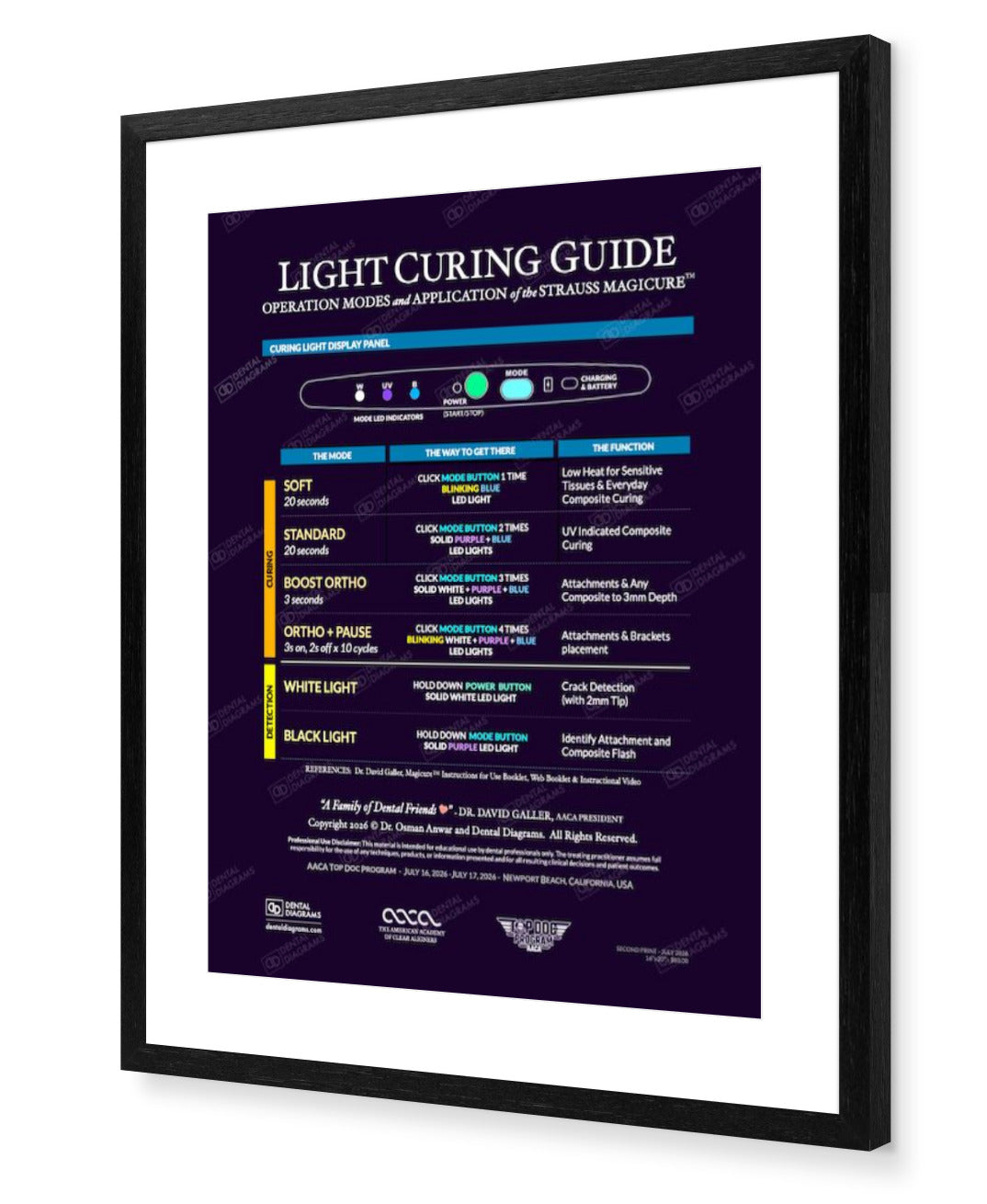 AACA Light Curing Clinician Guide for Strauss Magicure(TM) 16" x 20" Poster