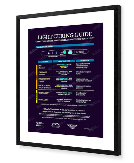 AACA Light Curing Clinician Guide for Strauss Magicure(TM) 16" x 20" Poster